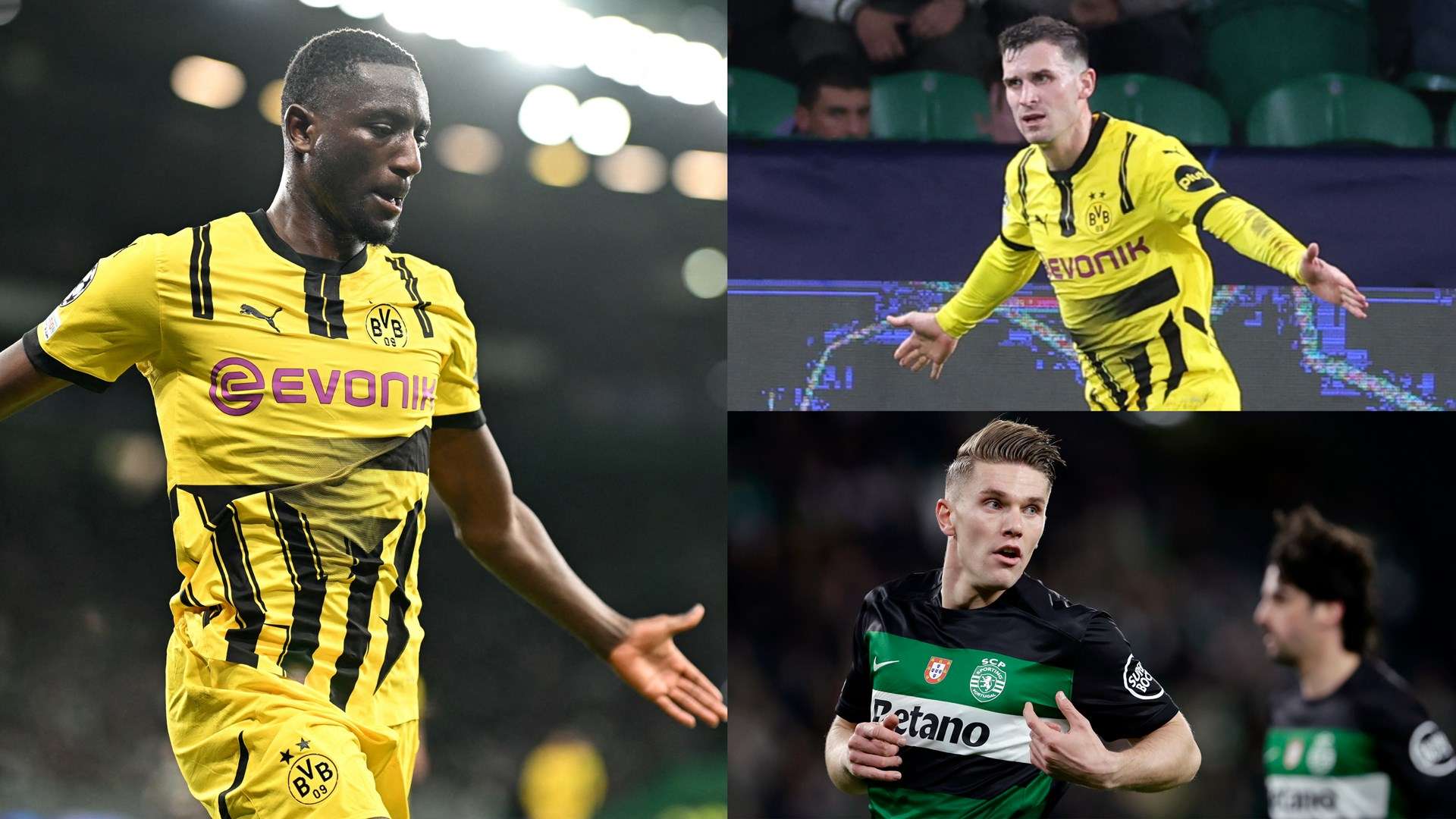 的防守支持 的防守支持